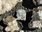 Here's just some of the quartz crystals we found!