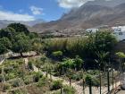A finca in the north of the island