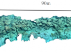 Photogrammetry map made up of nearly 2000 images to get intricate details of the reef's structure!