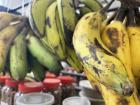 Bananas for sale at one of the grocery stores (Prince Ebeano Supermarket) I regularly visit. What observations can you make about the rind?