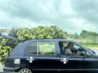 Vendors bringing bananas to sell at a local market.