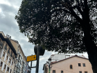 This is a calle famosa (famous street) in Oviedo with lots of good restaurants. The cidra (cider) is delicious!