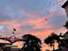 The sunrise on my way to work. I take the metro from this station (Tribunal) to the Plaza de Castilla, where I then take a bus