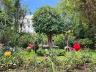 One of Santa Catalina Monastery's gardens