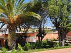 One of the various school gardens