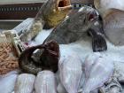 Here is just a sampling of the wide variety of fish brought in every day to the market