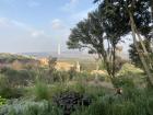 Due to it's temperate climate, Rabat is almost always covered in greenery