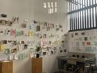 A studio whose artist focused on creating from the coconut tree in different ways