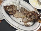 My first tambaqui... after!