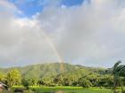 Beautiful views from a run to a nearby barangay (village)