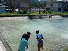 Students from University of Antique monitor a tilapia pond