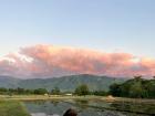 Clouds at sunset over a carabao in the rice fields 