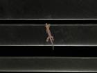 A small lizard dangling by one arm in my kitchen!