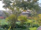Here's a view of one of the gardens at Navdanya
