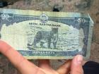 50 Nepali rupees equals 0.36 US dollars