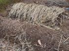 This is the mushroom growing method where soil and hay are layered on the ground