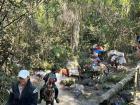 The mules and horses carrying suppliers and hikers