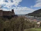 Views from the Heidelberg Schloss! 