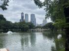 Bangkok is a big city with lots of buildings and roads, so water monitors stay in green spaces like Lumphini Park, where there is water and green space for them to roam, or move around