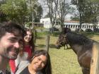 My friends and I went to visit the horses on campus!