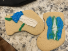 These are cookies decorated with knee and arthroscope diagrams that I made during our team holiday cookie decorating social