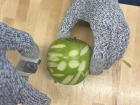 My second design team project was on making a more precise and controllable shave biopsy device, and we tested early prototypes on fruit