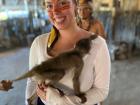 A monkey!