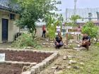 The Centro de Salud's traditional medicine garden, the day after cleaning it up