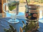 Sipping on some boldo leaf tea and enjoying the views