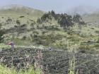 A family working their small farm near Ibarra, Ecuador. 
