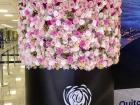 A display in the airport promoting one of the country's biggest exports.