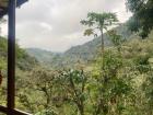 On the way home, we stopped for coffee and to enjoy the view one more time.
