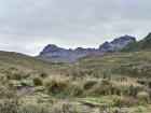 Hiking to Carihuairazo. You can see the summit in the background.