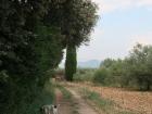 A trip to the countryside