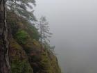 It was super foggy on the trails to Bohemian Switzerland... we couldn't see past the mountain!