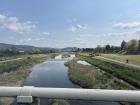 Kamogawa River: a view from the bridge 