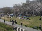 People celebrating "hanami" by the river 