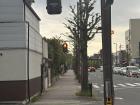 Blue sign reads: "Riding On Sidewalk Is Allowed"