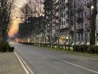 Sunrise waiting at my bus stop! The trees haven't started regrowing their leaves yet but they will soon