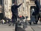 Pigeons in front of the Duomo in Milan.