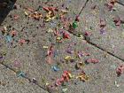 The sparkly ground outside campus