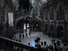 Inside the main hall of the Natural History Museum