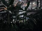 The top of Sky Garden in London is beautiful, and I am feeling very grateful that I can call this home for a while 