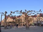 A peaceful stroll in Lund, Sweden: totally worth all the essay writing! 
