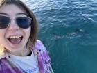 I went on a shark seeing expedition in the Foveaux Strait and got to see 3 great whites in the wild