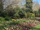 This week I went to my favorite park and saw some signs of spring!