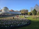 This is Botanic Gardens--I walk past here every time I walk to the gym