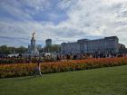 Here is another view of Buckingham Palace, but also my favourite part, which are the roses surrounding the area