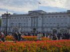 Here is a picture of Buckingham Palace!