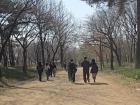 A trail at Seoul Forest Park